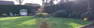 Gardening services Brierly Hill